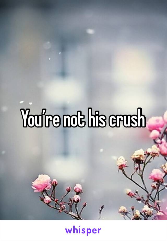 You’re not his crush 