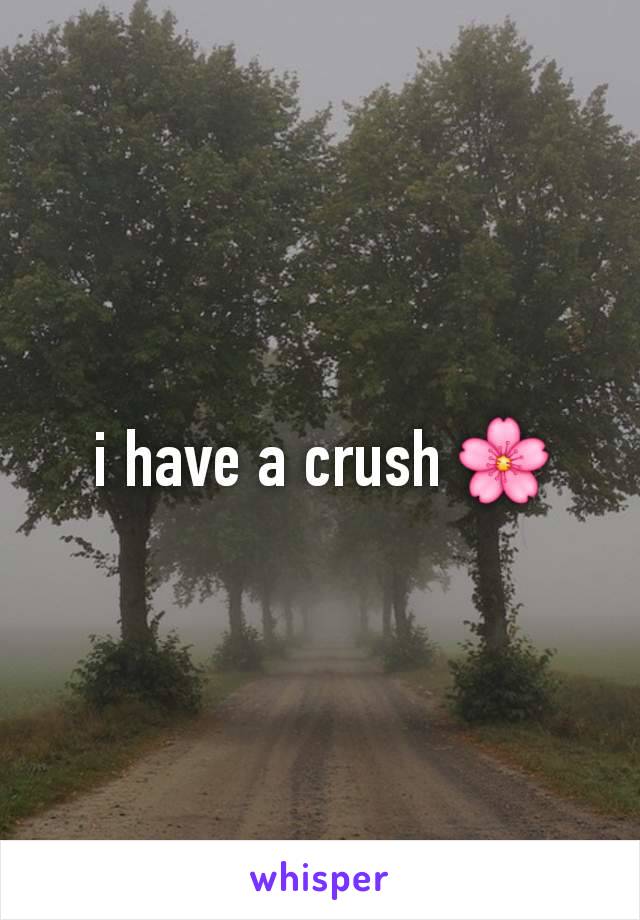 i have a crush 🌸