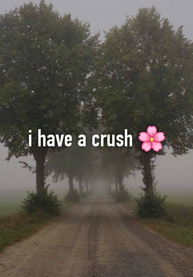 i have a crush 🌸