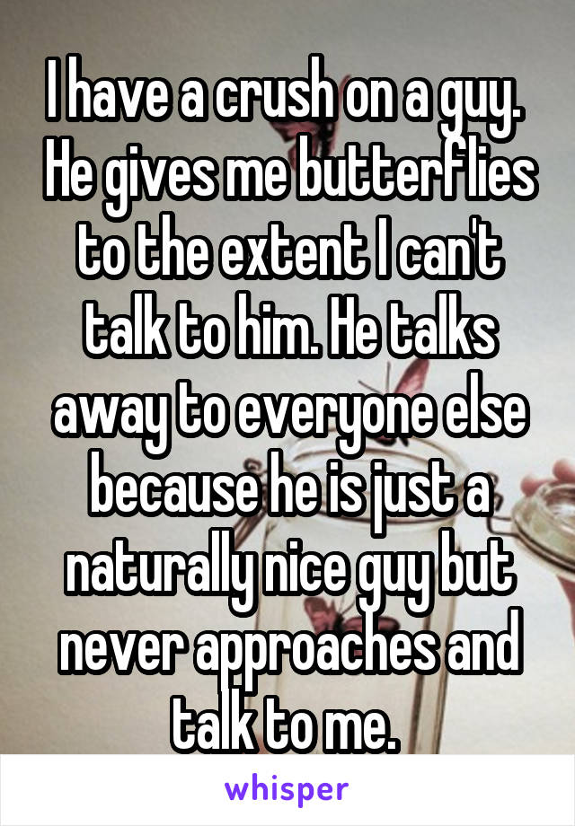 I have a crush on a guy.  He gives me butterflies to the extent I can't talk to him. He talks away to everyone else because he is just a naturally nice guy but never approaches and talk to me. 