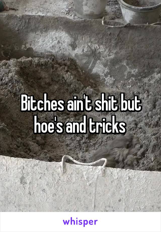 Bitches ain't shit but hoe's and tricks 