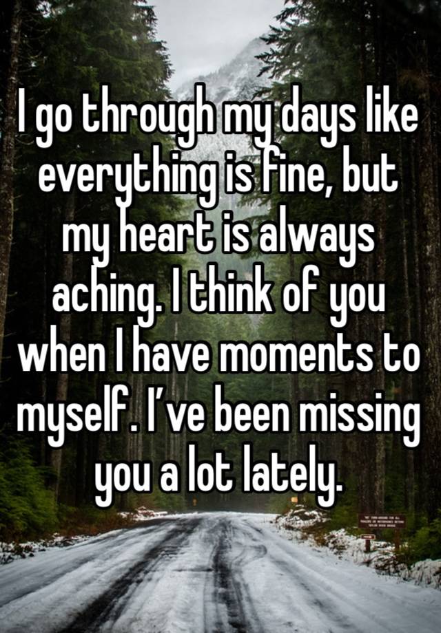 I go through my days like everything is fine, but my heart is always aching. I think of you when I have moments to myself. I’ve been missing you a lot lately. 