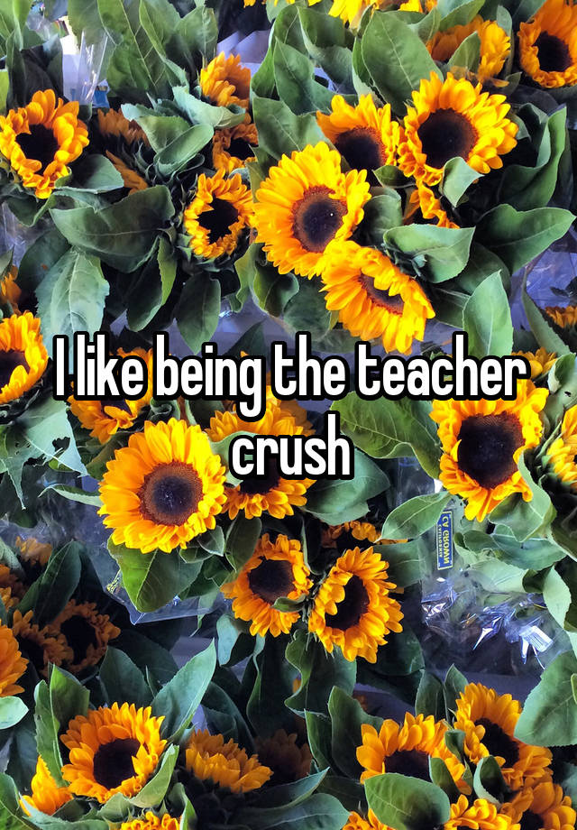 I like being the teacher crush