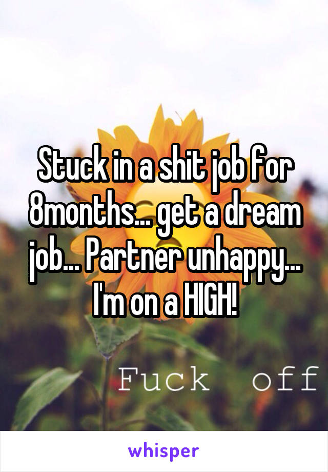 Stuck in a shit job for 8months... get a dream job... Partner unhappy... I'm on a HIGH!