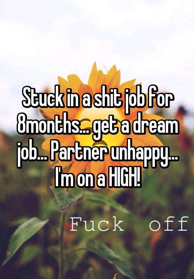 Stuck in a shit job for 8months... get a dream job... Partner unhappy... I'm on a HIGH!