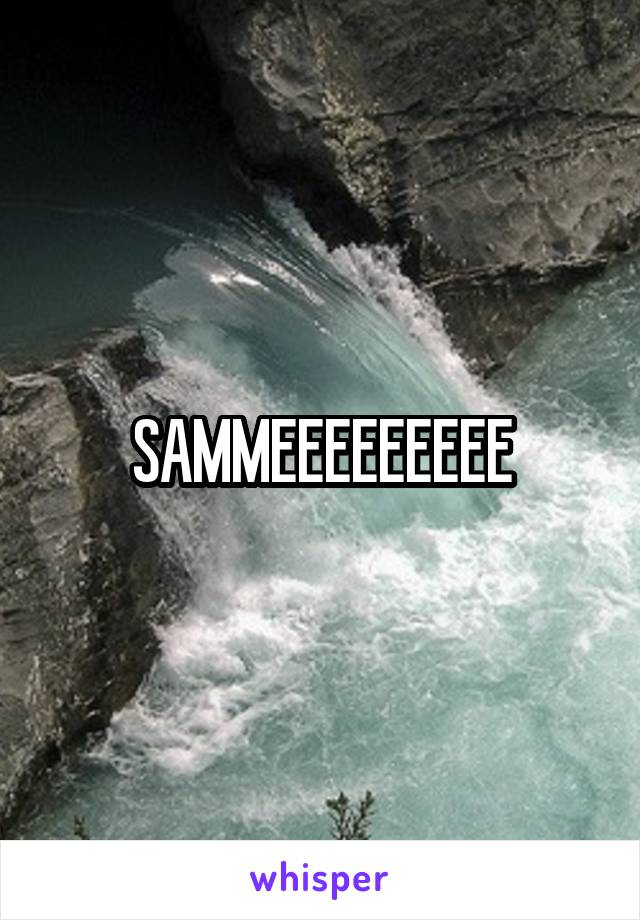 SAMMEEEEEEEEE