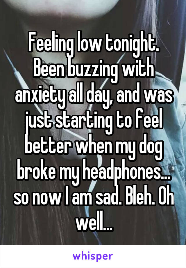 Feeling low tonight. Been buzzing with anxiety all day, and was just starting to feel better when my dog broke my headphones... so now I am sad. Bleh. Oh well...