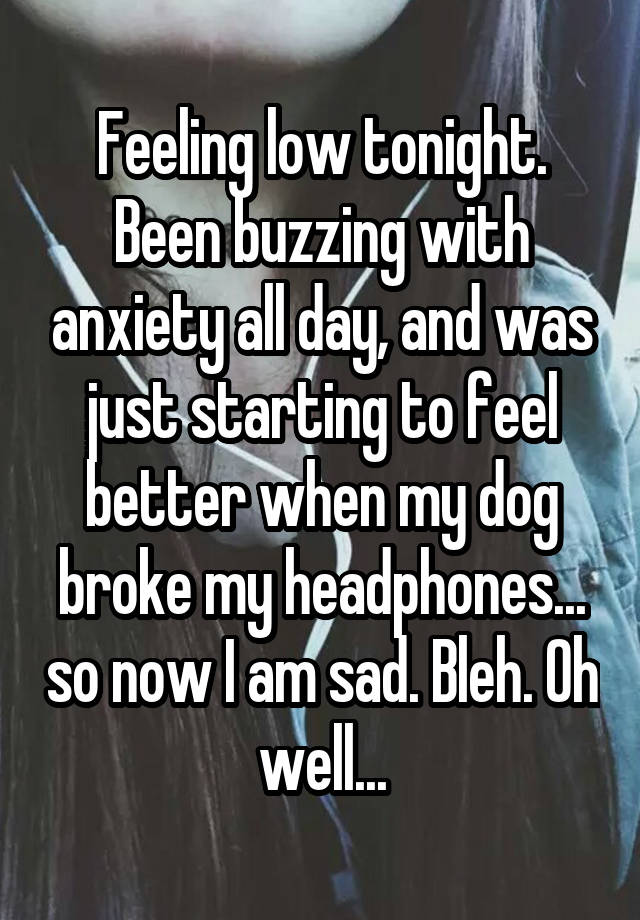 Feeling low tonight. Been buzzing with anxiety all day, and was just starting to feel better when my dog broke my headphones... so now I am sad. Bleh. Oh well...