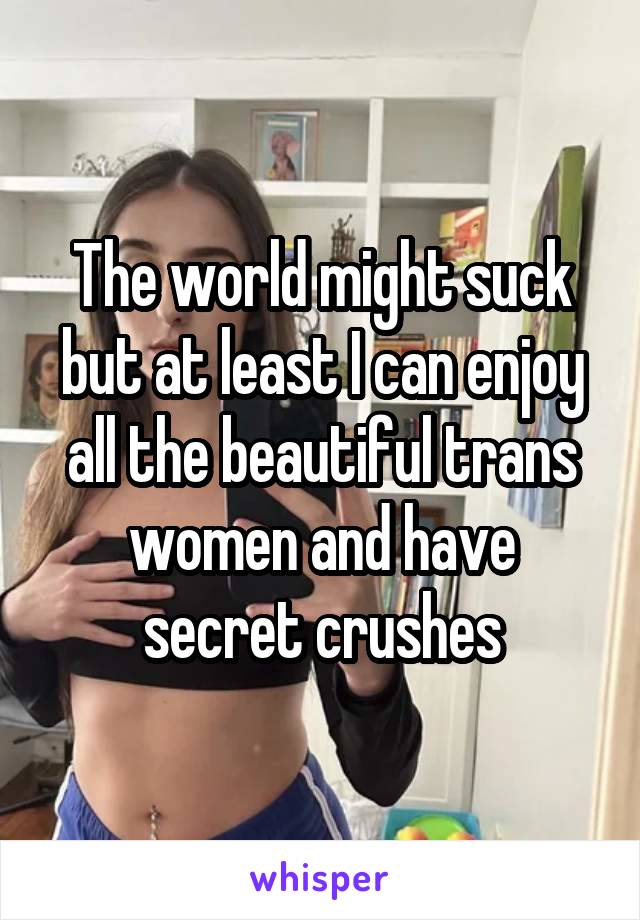 The world might suck but at least I can enjoy all the beautiful trans women and have secret crushes