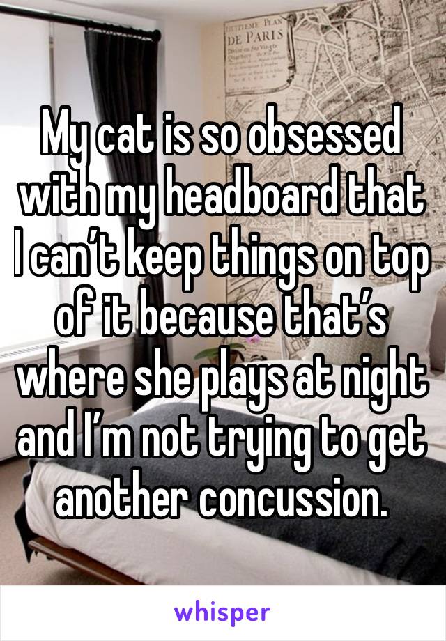 My cat is so obsessed with my headboard that I can’t keep things on top of it because that’s where she plays at night and I’m not trying to get another concussion. 