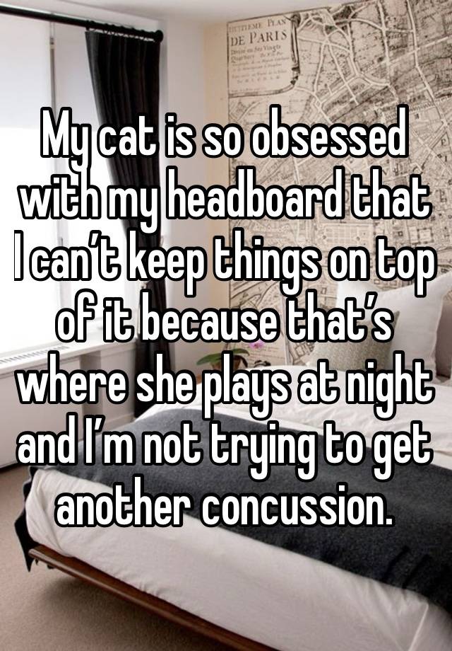 My cat is so obsessed with my headboard that I can’t keep things on top of it because that’s where she plays at night and I’m not trying to get another concussion. 