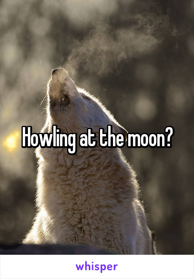 Howling at the moon?