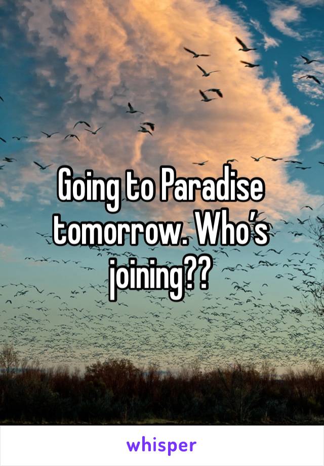 Going to Paradise tomorrow. Who’s joining??