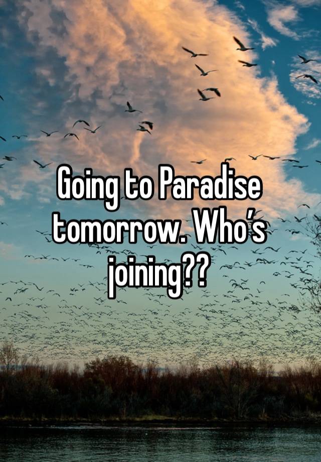 Going to Paradise tomorrow. Who’s joining??