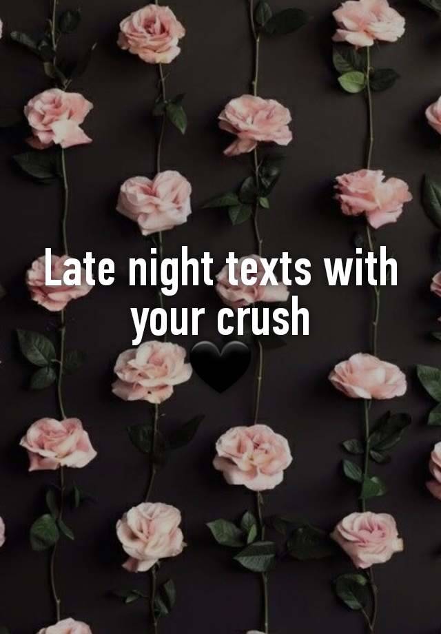 Late night texts with your crush
🖤