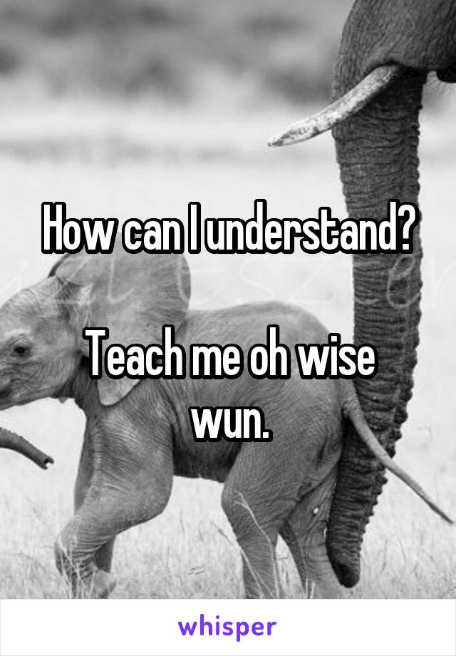 How can I understand?

Teach me oh wise wun.