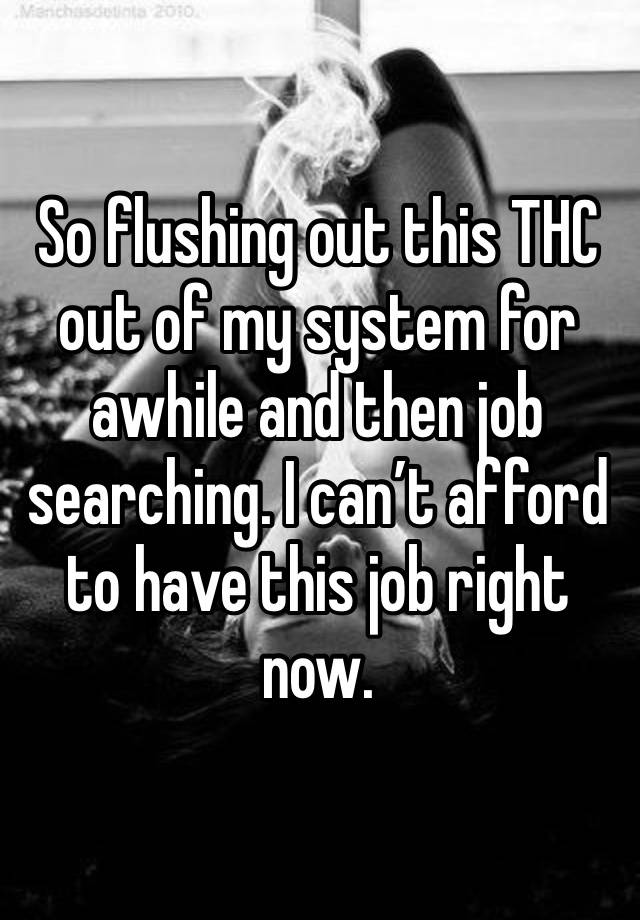 So flushing out this THC out of my system for awhile and then job searching. I can’t afford to have this job right now. 