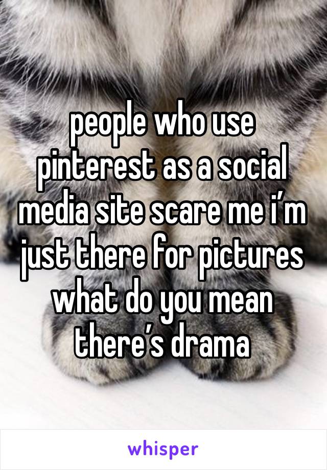 people who use pinterest as a social media site scare me i’m just there for pictures what do you mean there’s drama