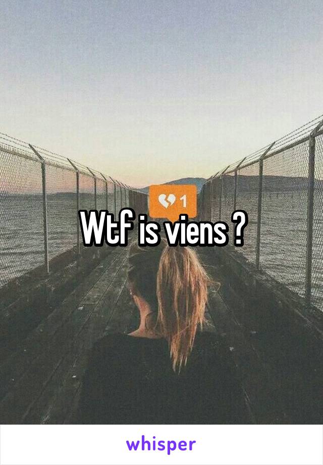 Wtf is viens ?