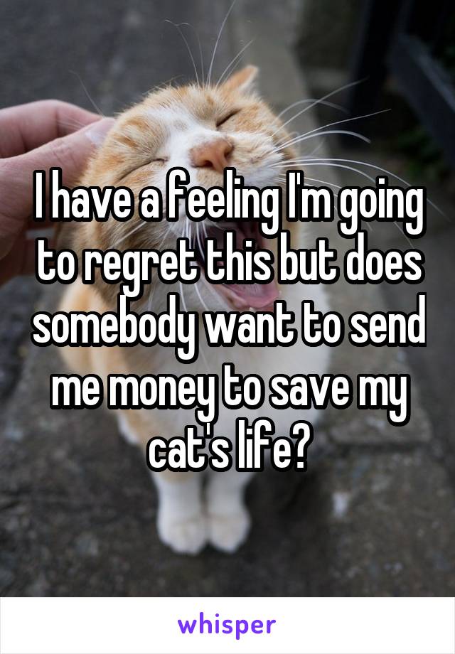 I have a feeling I'm going to regret this but does somebody want to send me money to save my cat's life?