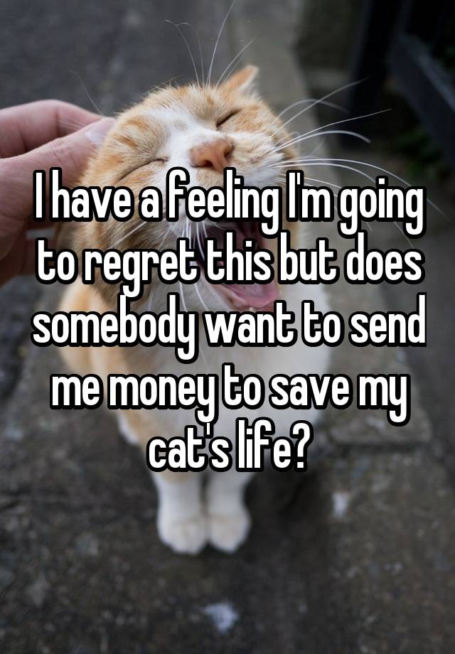 I have a feeling I'm going to regret this but does somebody want to send me money to save my cat's life?