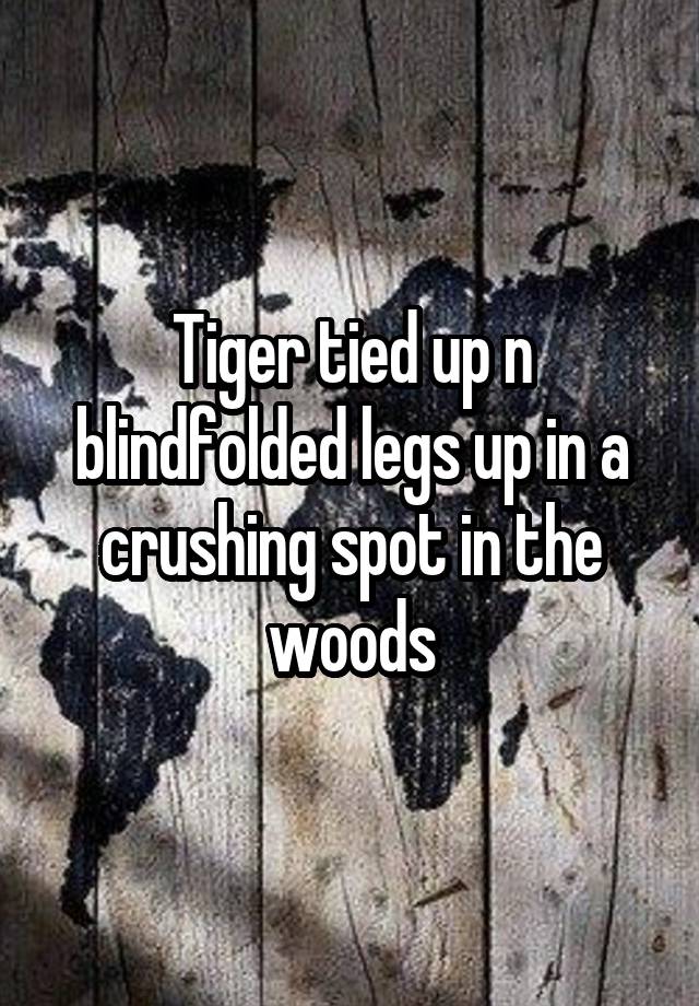 Tiger tied up n blindfolded legs up in a crushing spot in the woods