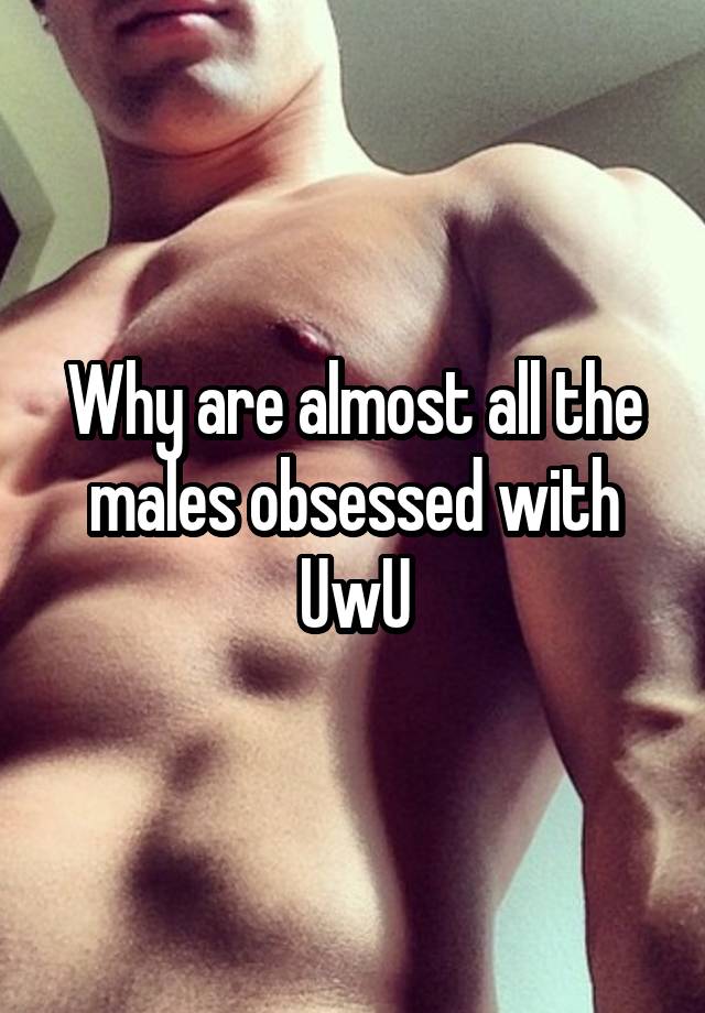 Why are almost all the males obsessed with UwU