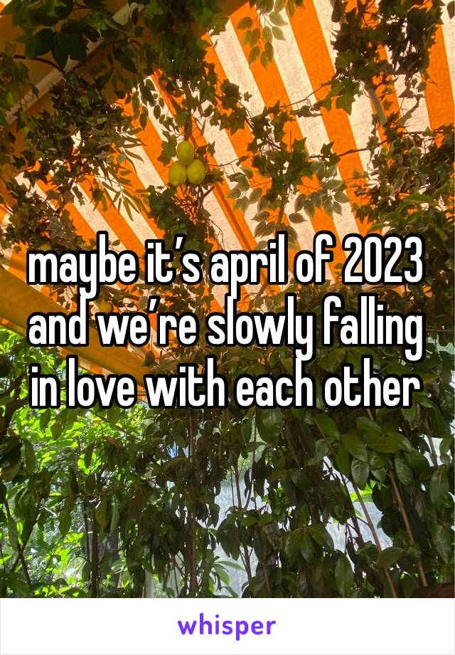 maybe it’s april of 2023 and we’re slowly falling in love with each other 