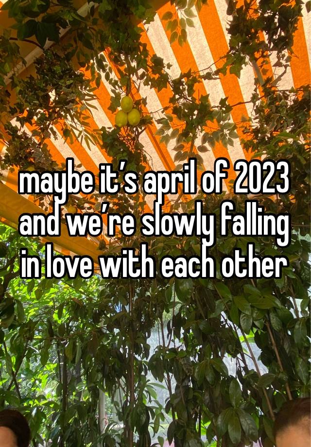 maybe it’s april of 2023 and we’re slowly falling in love with each other 