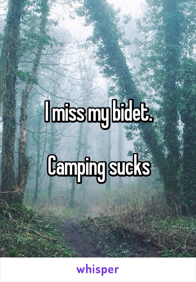 I miss my bidet.

Camping sucks