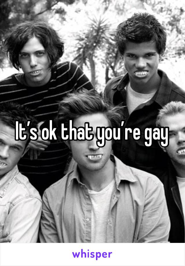 It’s ok that you’re gay