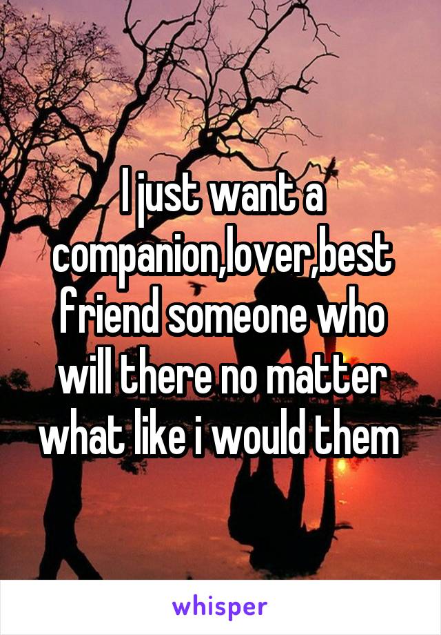 I just want a companion,lover,best friend someone who will there no matter what like i would them 