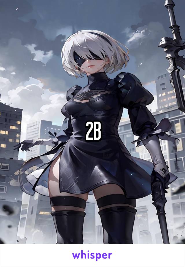 2B