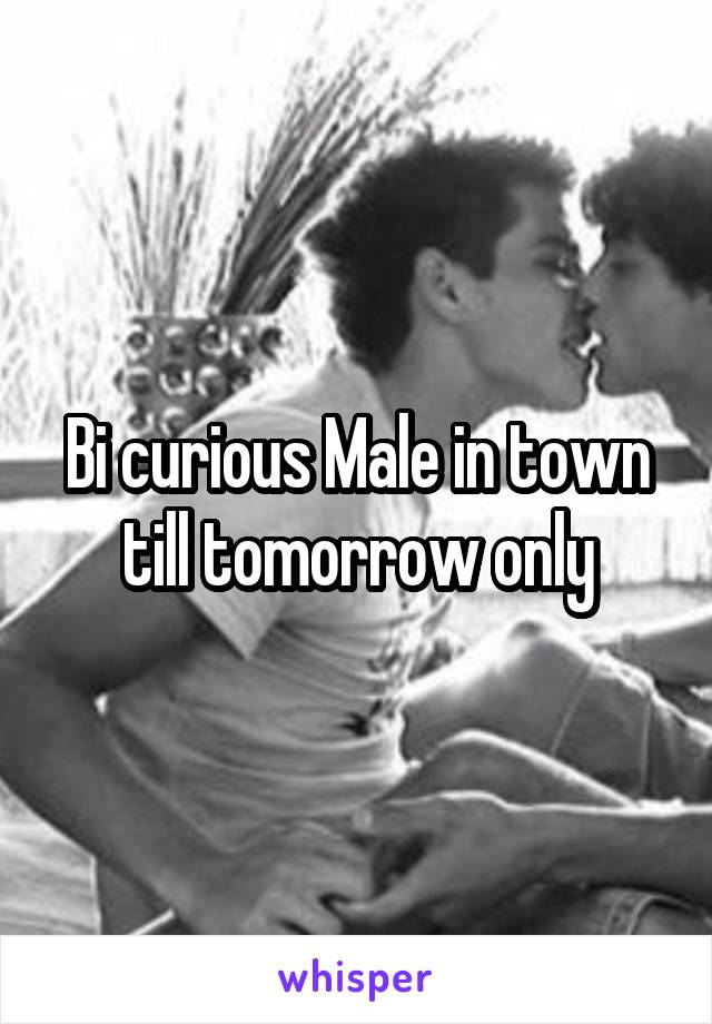 Bi curious Male in town till tomorrow only