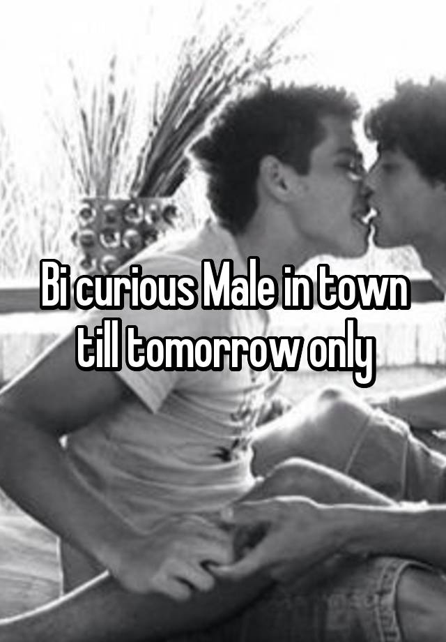 Bi curious Male in town till tomorrow only