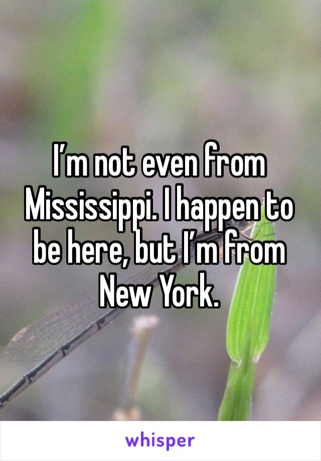 I’m not even from Mississippi. I happen to be here, but I’m from New York. 