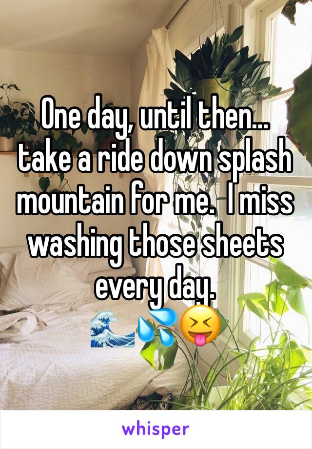 One day, until then…
take a ride down splash mountain for me.  I miss washing those sheets every day. 
🌊💦😝