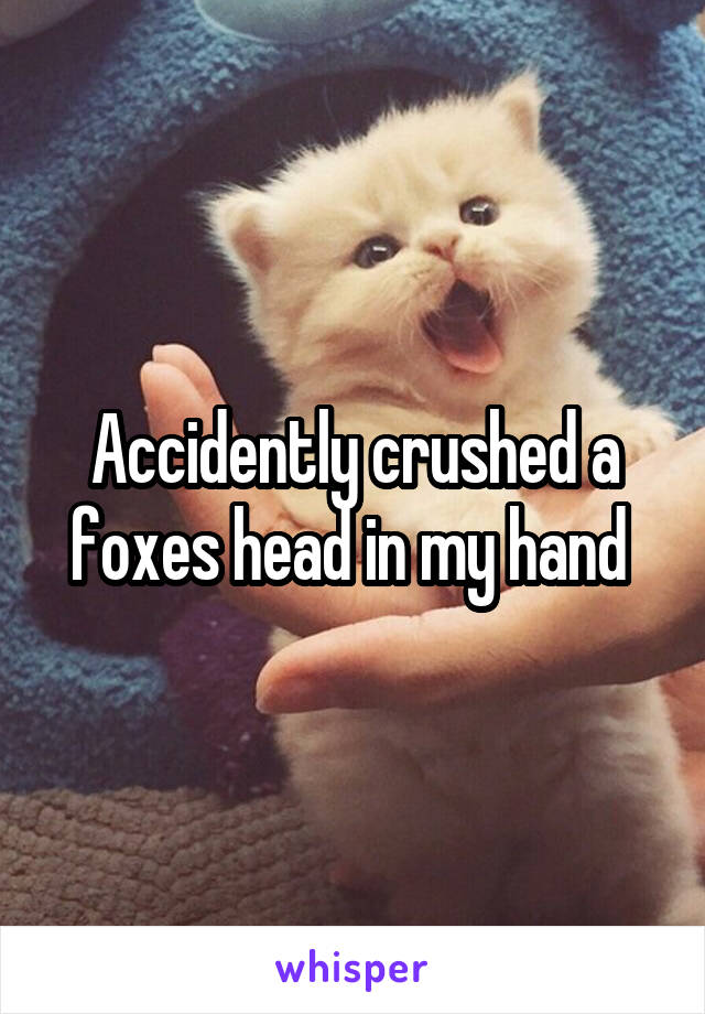 Accidently crushed a foxes head in my hand 