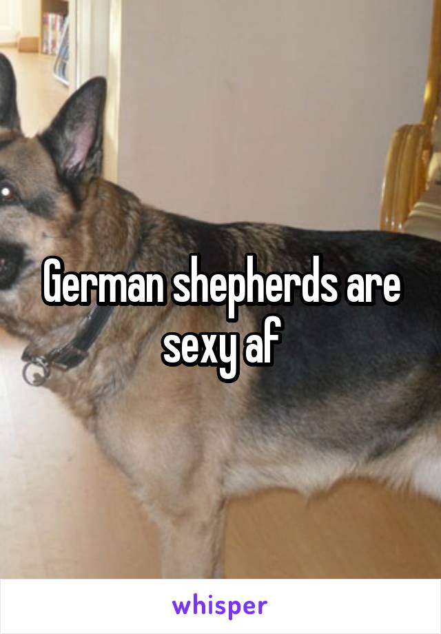 German shepherds are sexy af