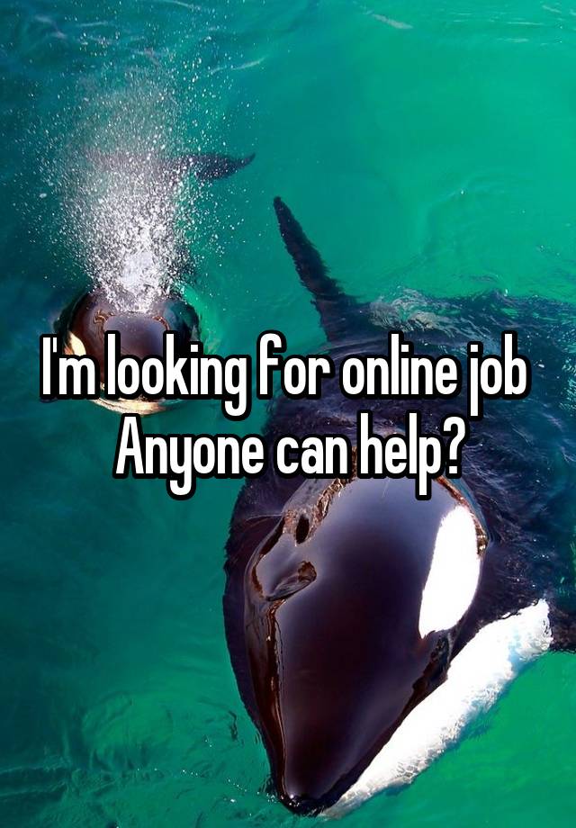 I'm looking for online job 
Anyone can help?