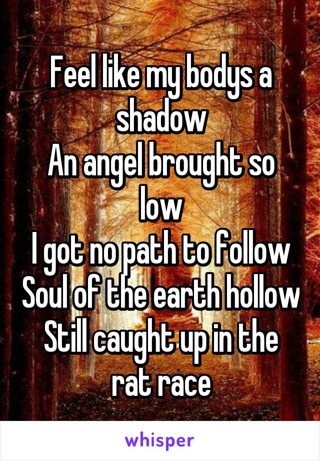 Feel like my bodys a shadow
An angel brought so low
I got no path to follow Soul of the earth hollow
Still caught up in the rat race