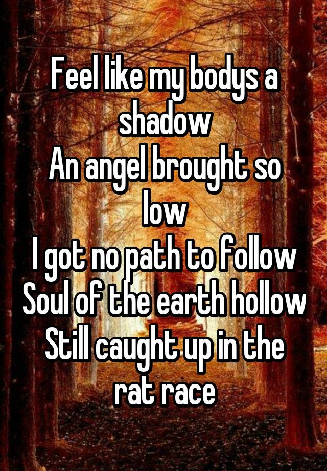 Feel like my bodys a shadow
An angel brought so low
I got no path to follow Soul of the earth hollow
Still caught up in the rat race