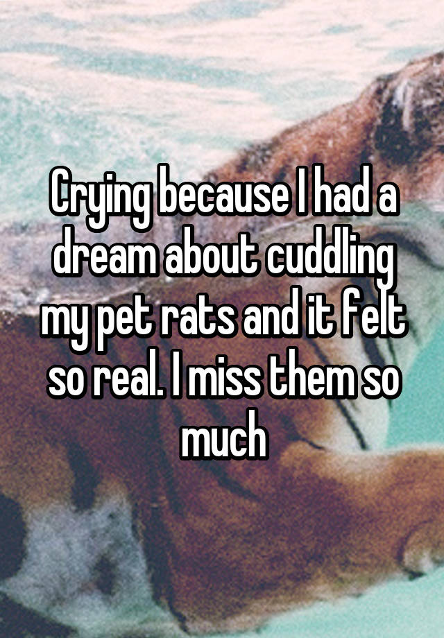 Crying because I had a dream about cuddling my pet rats and it felt so real. I miss them so much