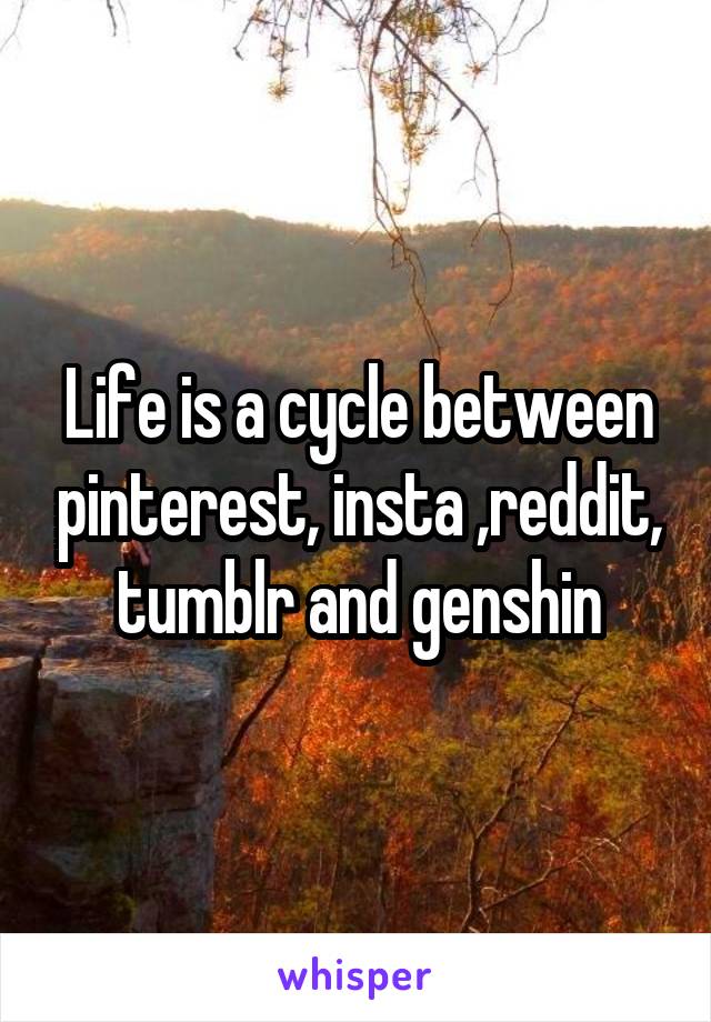 Life is a cycle between pinterest, insta ,reddit, tumblr and genshin