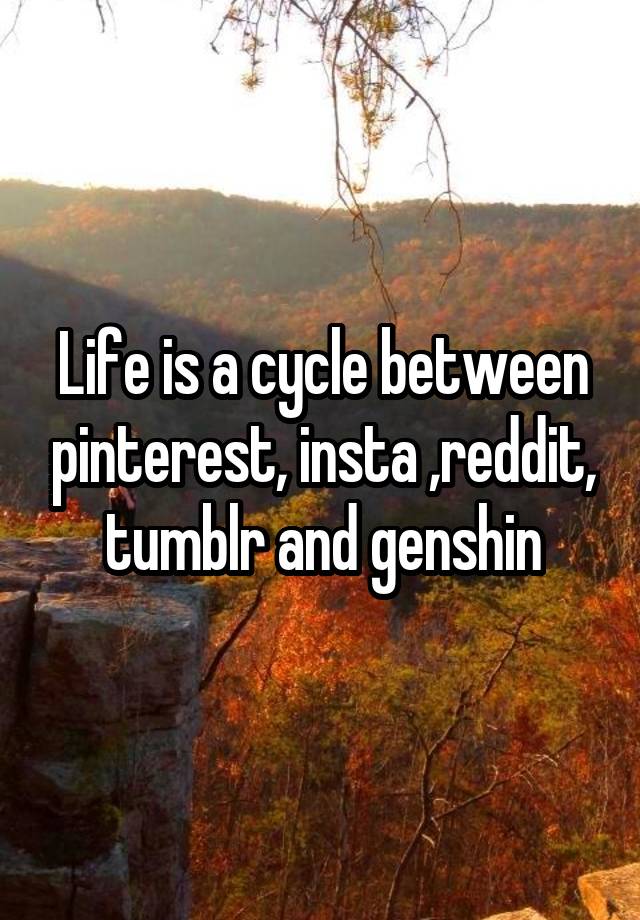 Life is a cycle between pinterest, insta ,reddit, tumblr and genshin