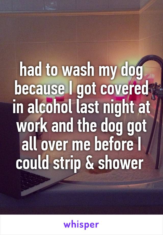 had to wash my dog because I got covered in alcohol last night at work and the dog got all over me before I could strip & shower 