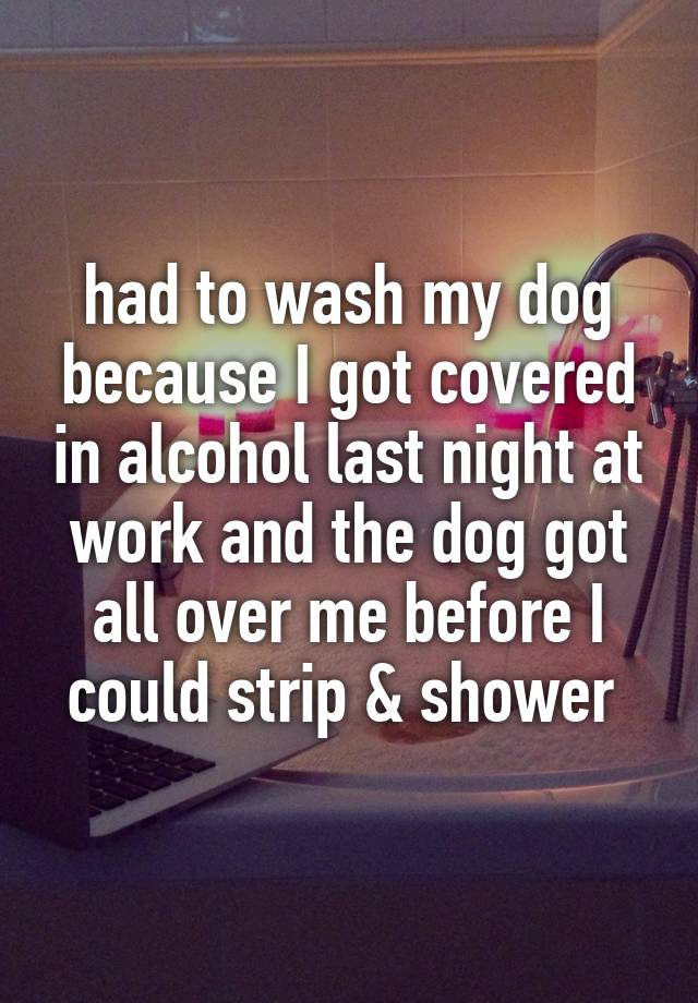 had to wash my dog because I got covered in alcohol last night at work and the dog got all over me before I could strip & shower 