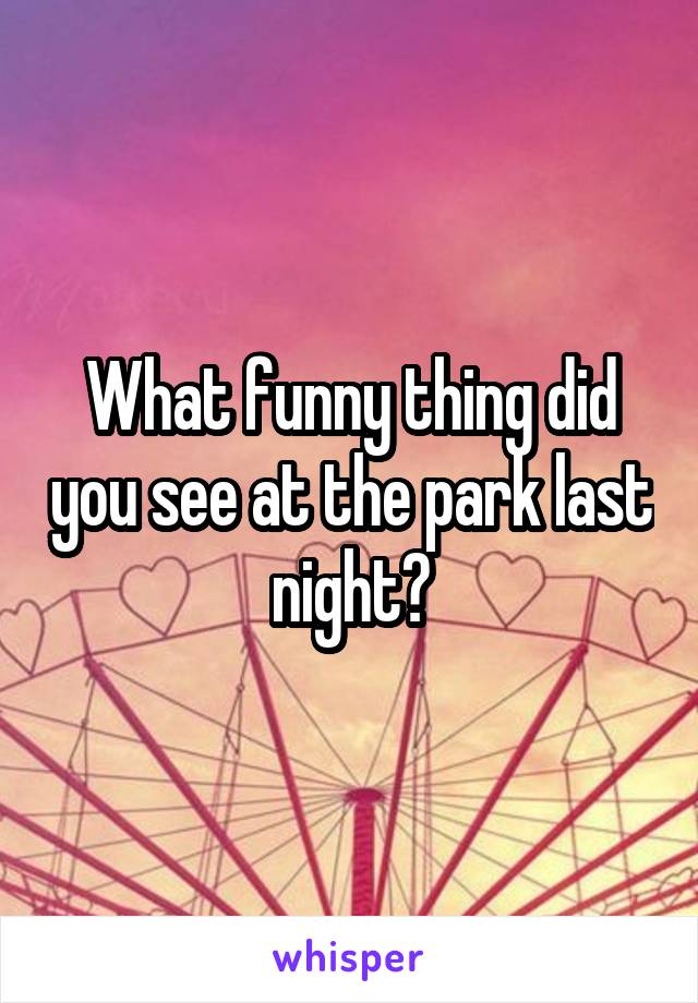 What funny thing did you see at the park last night?