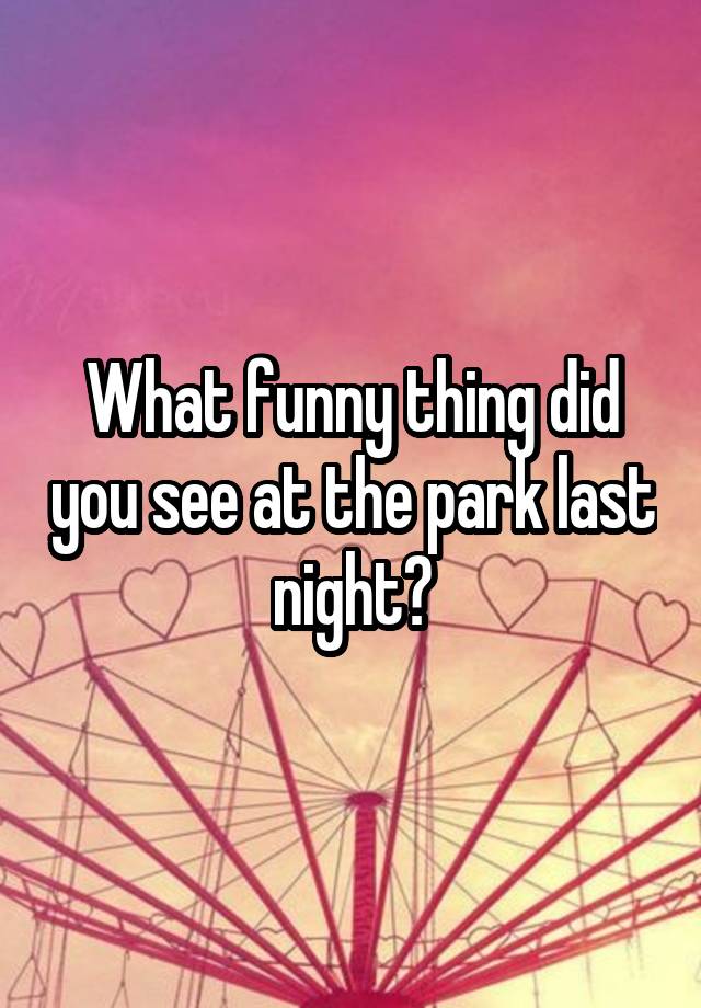 What funny thing did you see at the park last night?