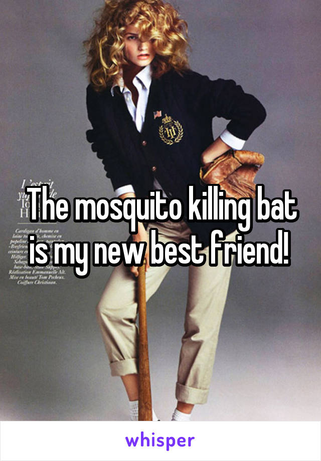 The mosquito killing bat is my new best friend! 